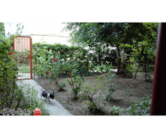 Vând apartament 3 camere la Parter