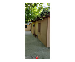 Vand casa in localit. Chiscani, braila - Imagine 9