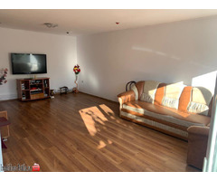 Casa cu etaj+teren 3000m - Imagine 3