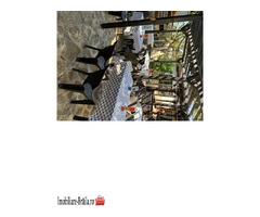 Vand vila si restaurant - Imagine 5