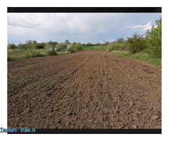 Teren agricol,  comuna Victoria