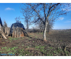 Viziru / Braila - Casa batraneasca + Teren - Imagine 7