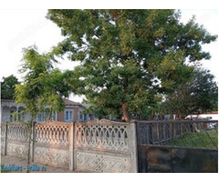 Vand casa in Movila Miresii - Imagine 4