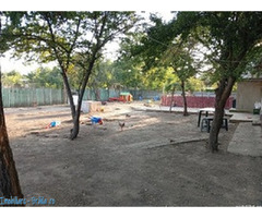 Vand casa in Movila Miresii - Imagine 9