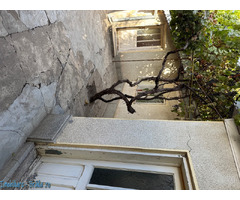 Casa de vanzare Braila - Imagine 8